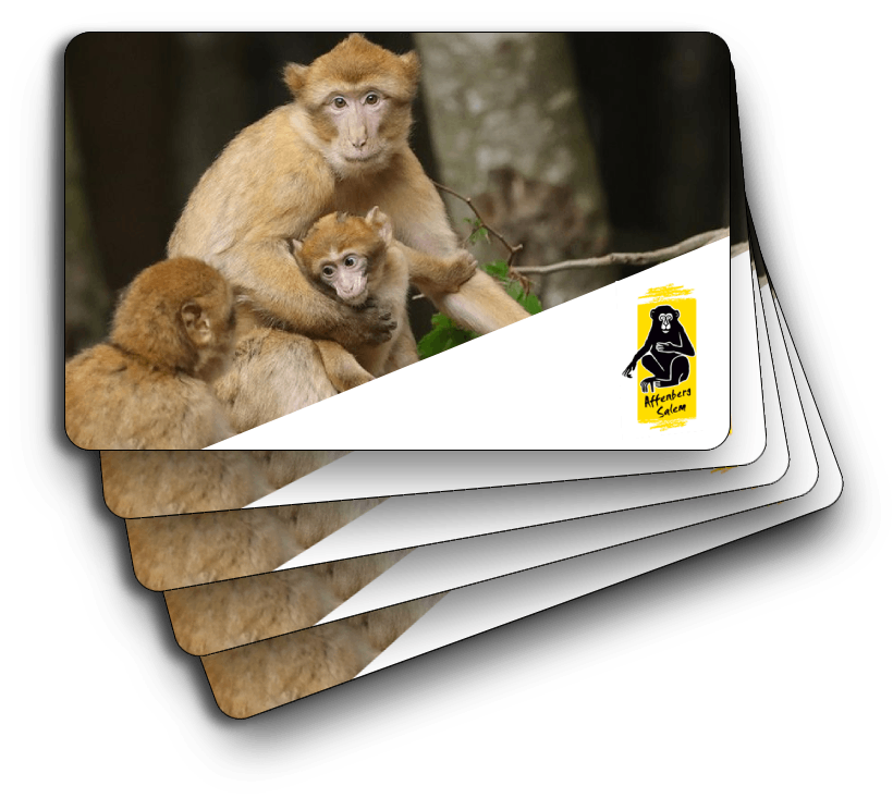 Dieses Bild zeigt einen Preis